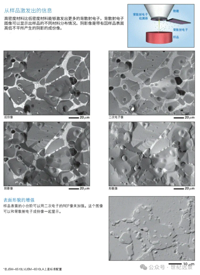 电镜扫描出租