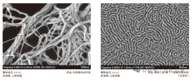 扫描电子显微镜SU8220 租售